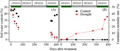 Seasonal Responses of Hydraulic Function and Carbon Dynamics in Spruce Seedlings to Continuous Drought